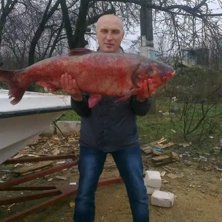 Вячеслав, 55Украина 