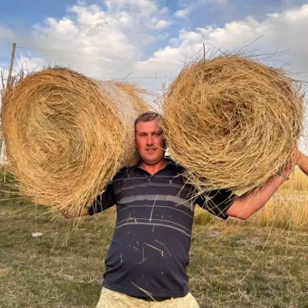 Igor, 41Украина